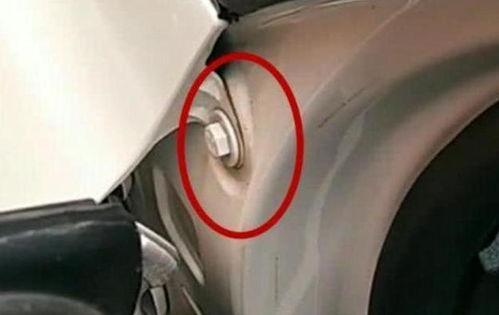 国产在线观看国产,在线畅享国产生态魅力