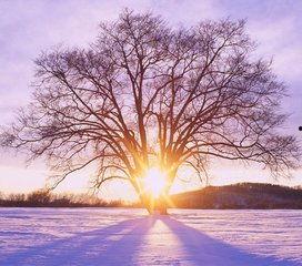 1024国产基地在线,探索中国科技产业的创新与发展